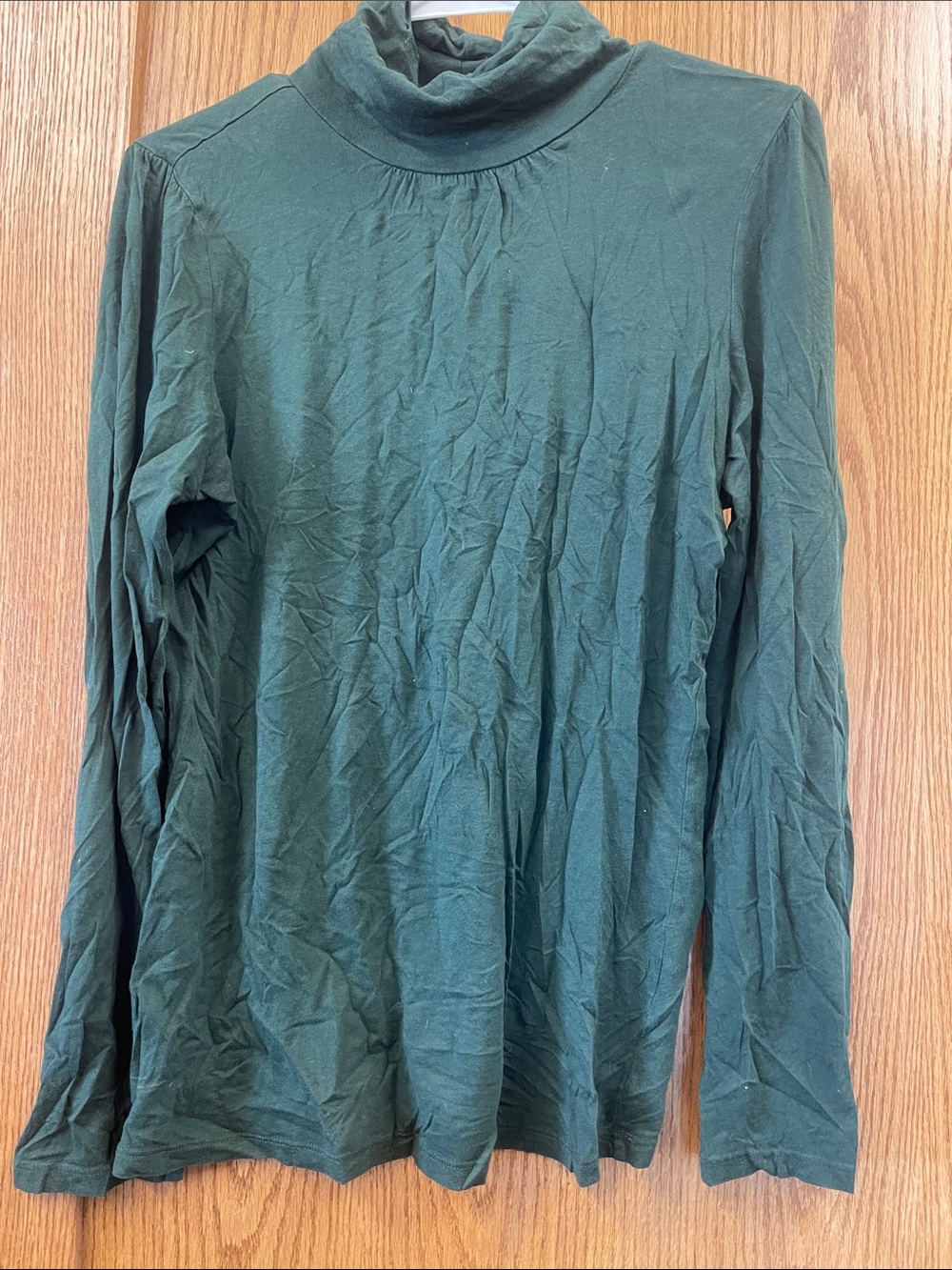 GAP Forest Green Long-Sleeve Turtleneck